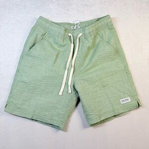 Mint Green board shorts for Men
